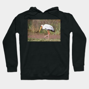 Yellow-billed Stork Feeding Hoodie